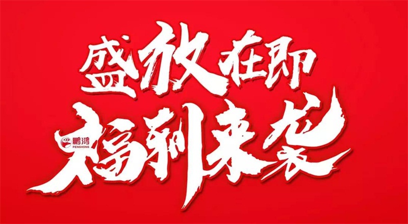 再拓疆域！鵬鴻We+定制&紅星美凱龍聯(lián)袂亮相烏魯木齊