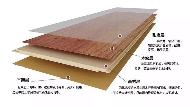 鵬鴻強化地板刨面圖